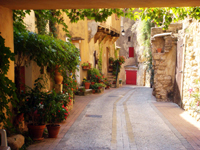 Еще немного и в Прованс