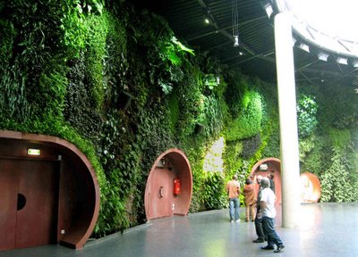 Патрик Блан3.jpg