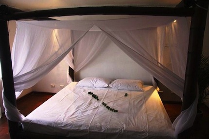 The Green Saman.jpg The Green Saman.jpg