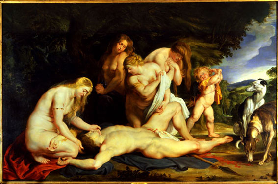 Венера оплакивает Адониса  Рубенса.jpg