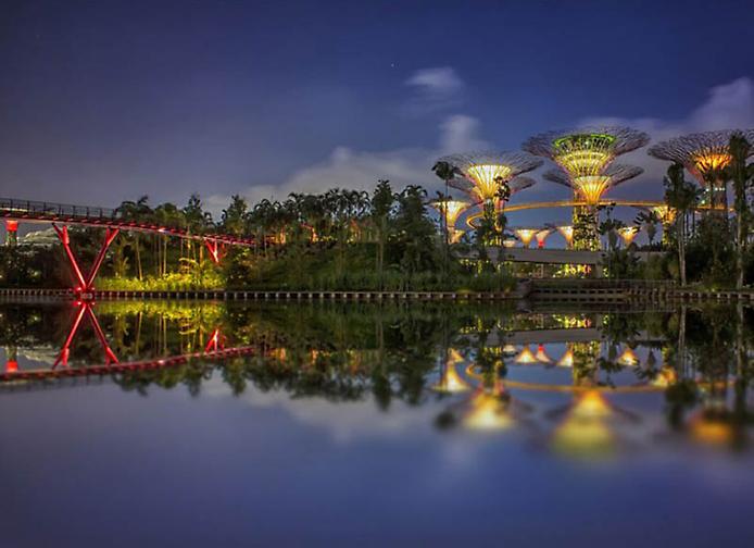 деревья будущего8.jpg