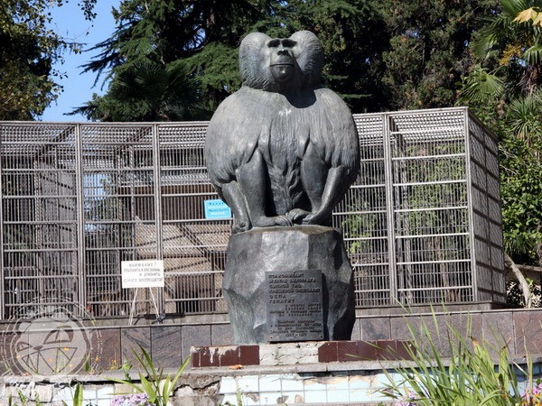 Обезьяний питомник..jpg