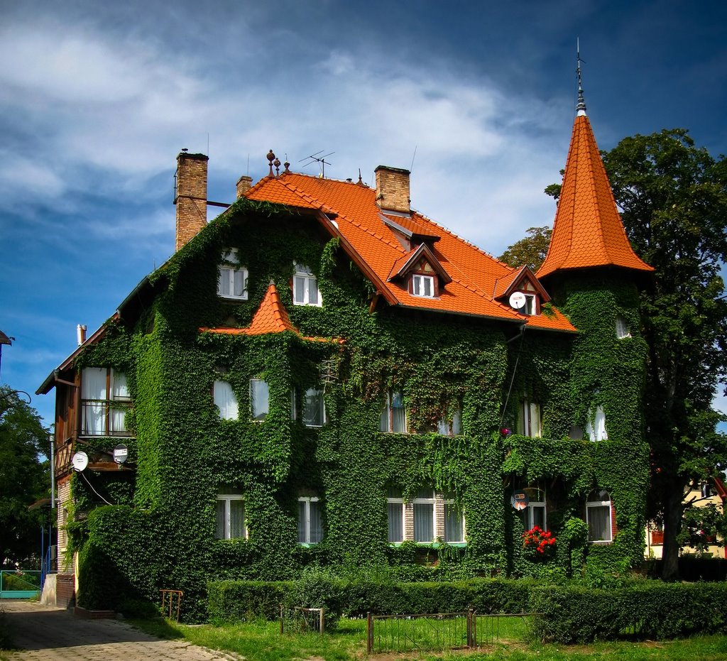 Желеные стены в Польше.jpg