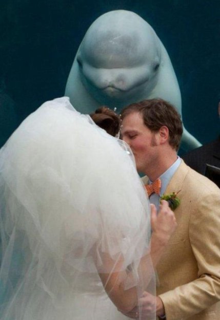 свадебное фото.jpg