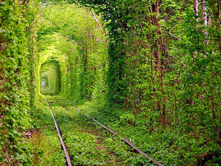 Туннель Любви.jpg