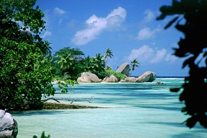 Куда влекут мечты