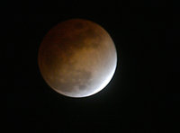 Роскосмос объявил о планах освоения луны