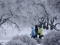 Облачная погода и снег ожидаются сегодня в столице