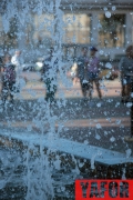 IMG_8553 copy.jpg