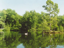 Сормовский парк культуры, МП