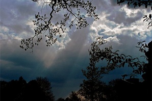 Дождливая и теплая погода ожидает нижегородцев