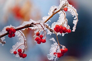 В Нижнем Новгороде наступает настоящая зима