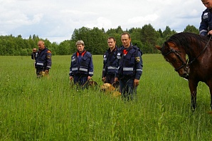 Полицейские нашли мужчину, пропавшего в лесу