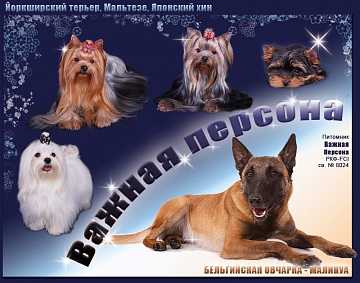 Питомник Важная Персона