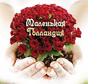 Маленькая Голландия