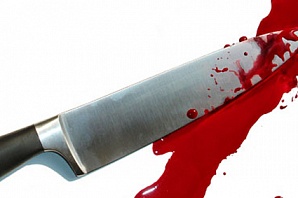 Житель Бора убил своего приятеля