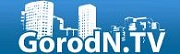 ООО Первое Нижегородское Интернет Телевидение