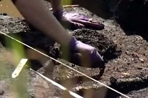 В Европе обнаружили один из крупнейших кладов