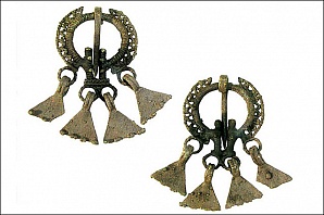 В Брянской области был изъят уникальный клад