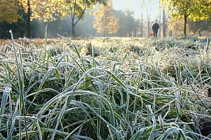 В Нижний Новгород "идут" заморозки
